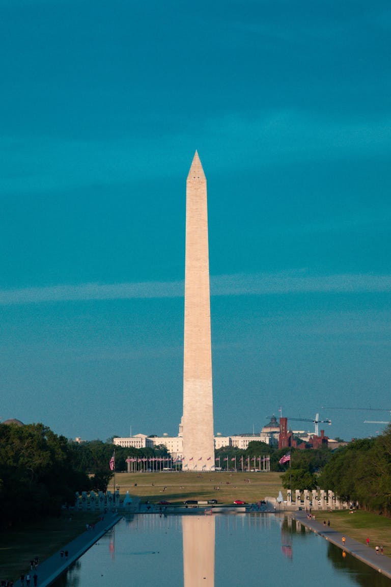 The Best Time to Visit Washington DC 2024 The Ultimate Guide Bounce