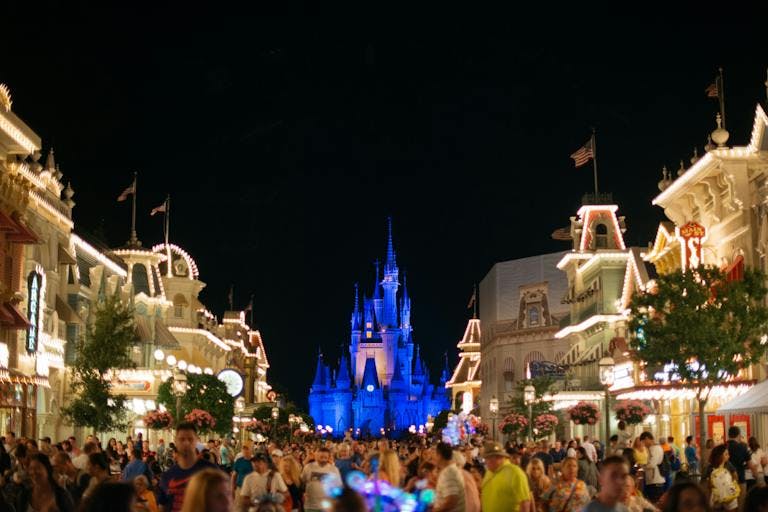 Night view of Walt Disney World