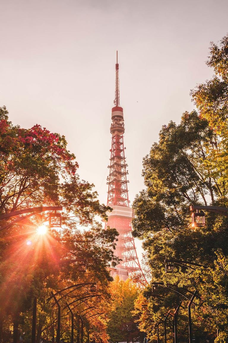 view of Tokyo Tower through trees