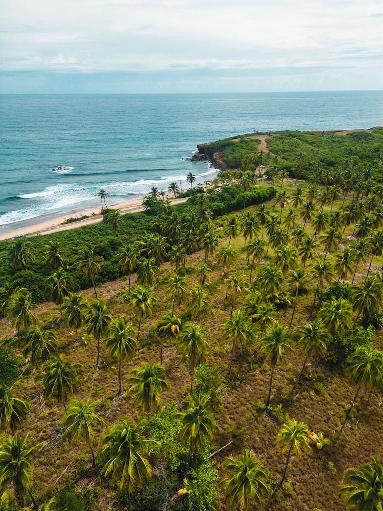 Island beaches near San Juan