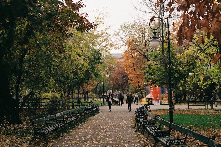 Park in Bucharest