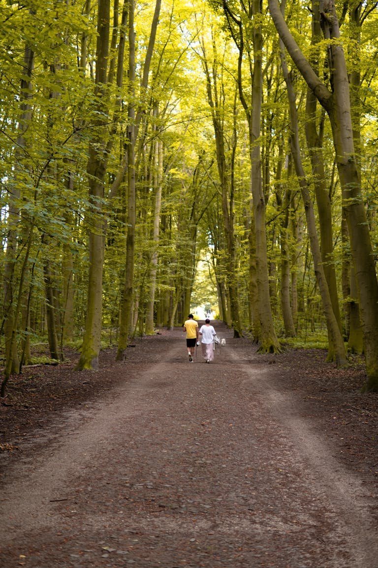 Woodland hike in Amsterdam