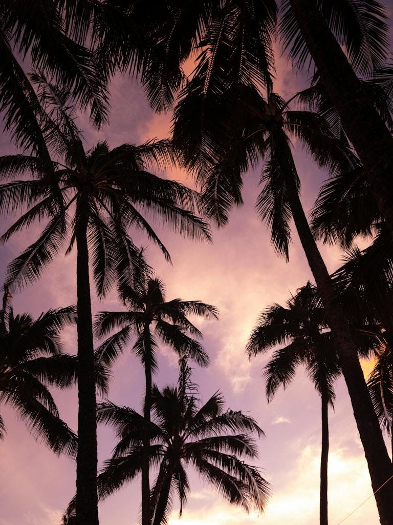 Sunset Beach in Honolulu