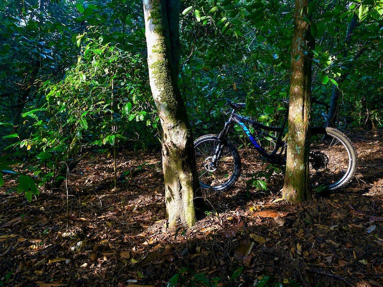 Singapore hiking and cycling trails