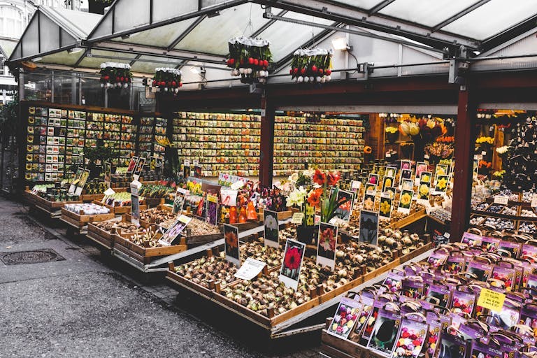 Market stall in Amsterdam