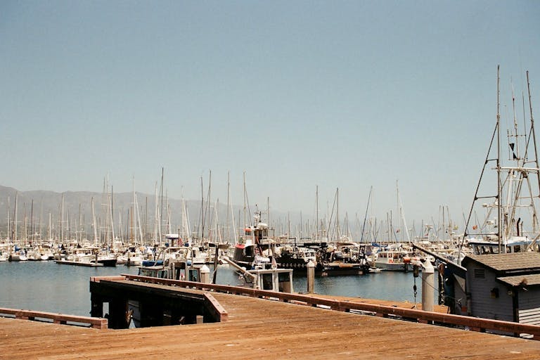sailboats in a harbor