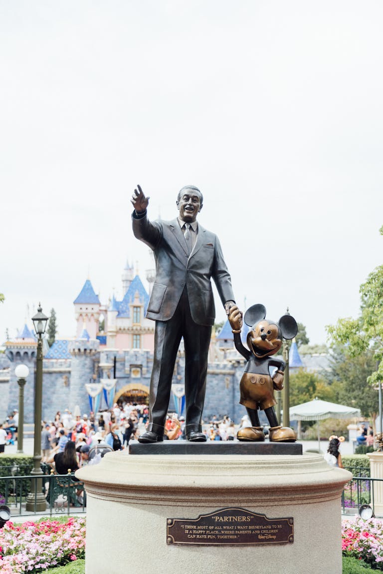 Rule and regulations at Disneyland