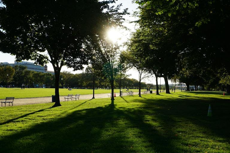 Park in Washington DC