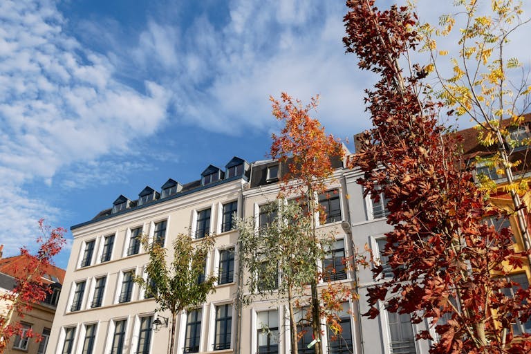 Autumn Street in Lille, France