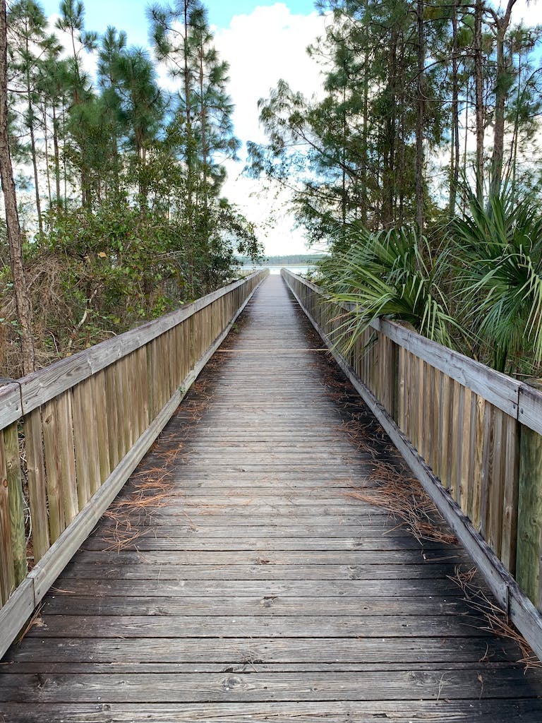 Beach boardwalk near Orlando