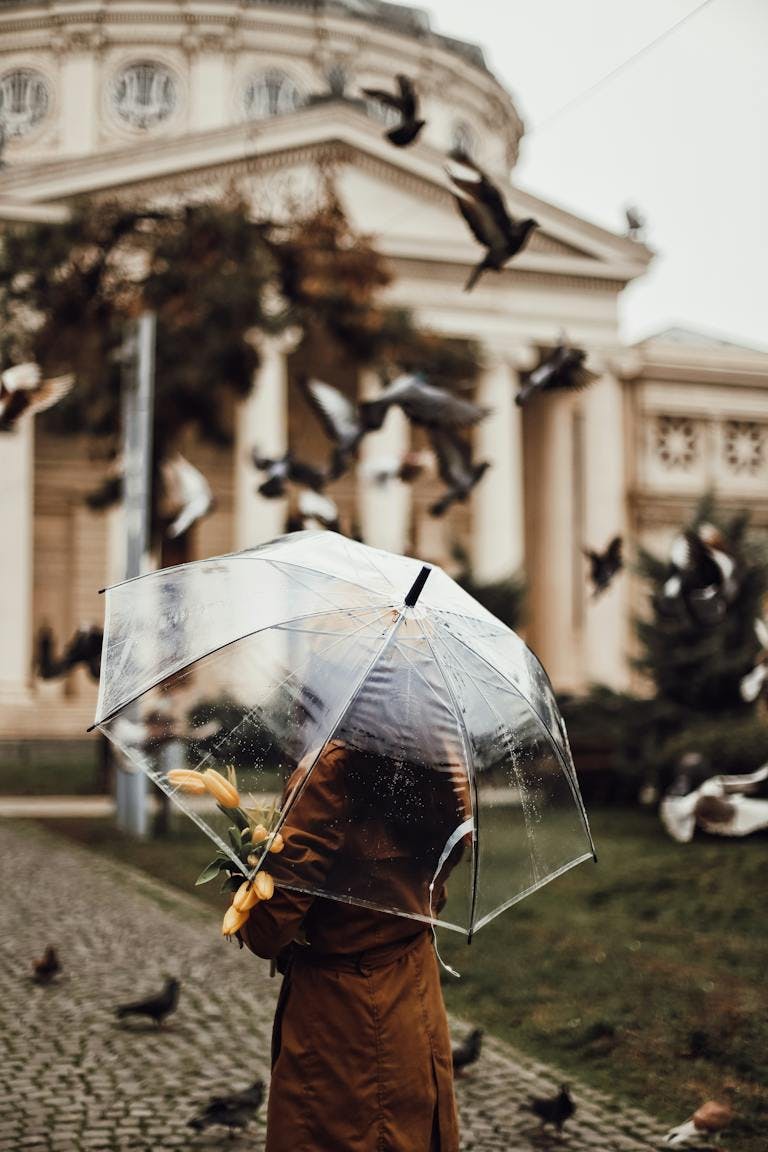 Rainy day in Bucharest