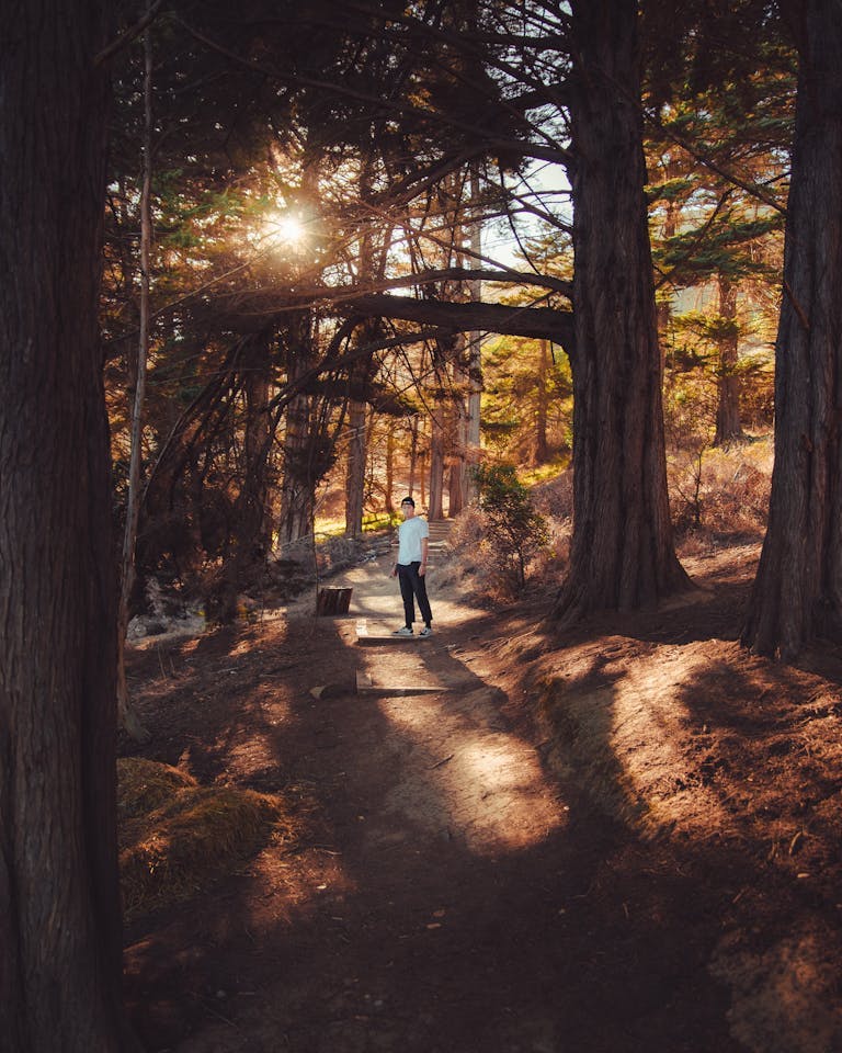 Hiking trail in San Francisco, CA